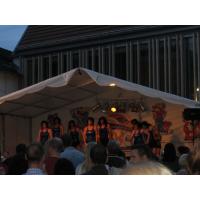 Strassen-_und_Hoffest 2014_058.jpg